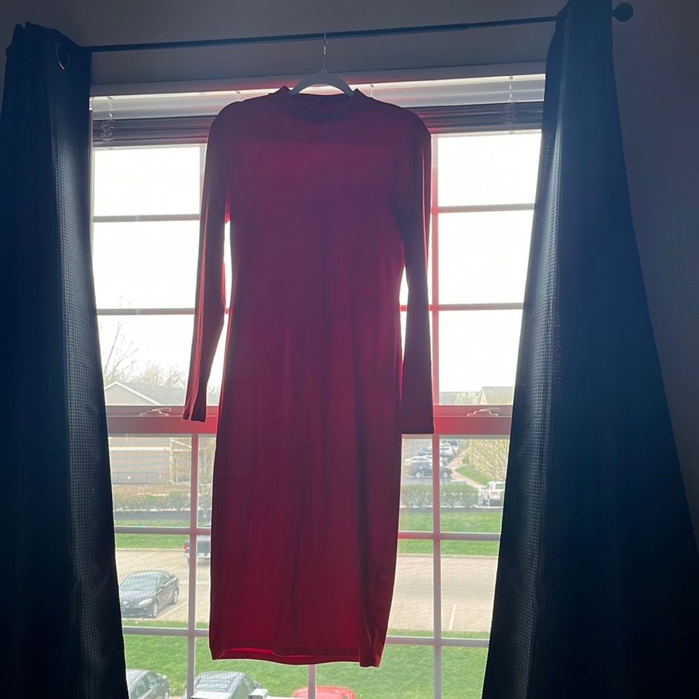 Fashion Nova Bodycon Dress